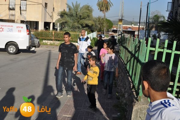 snakeluds310 (3).JPG